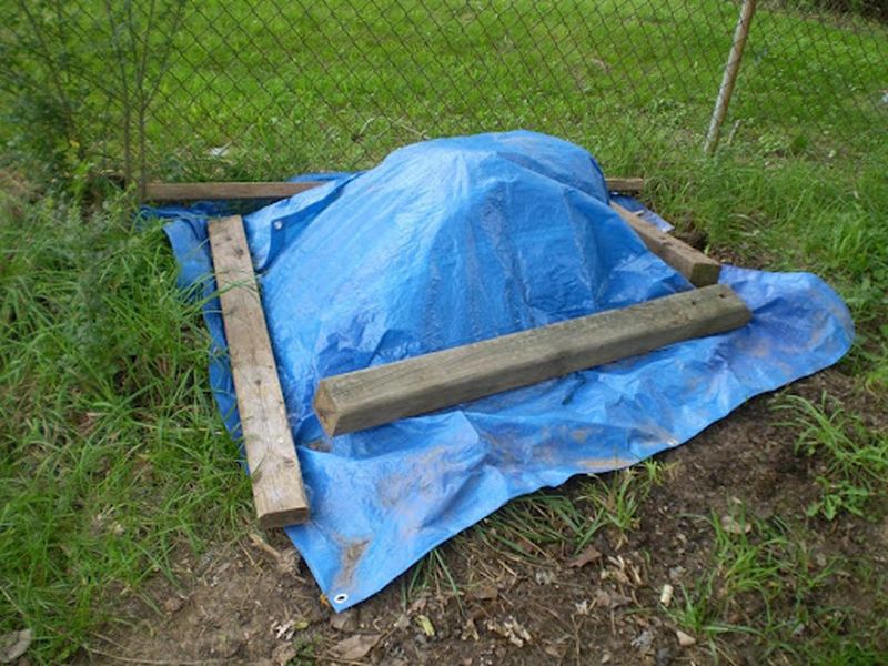 Зимой черный спанбонд предпочтительнее - AGROzen