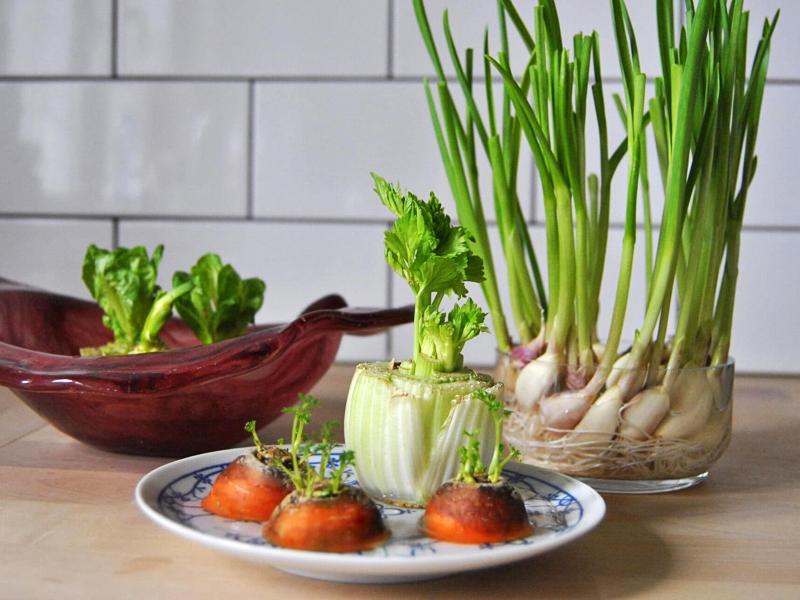 Зелень на подоконнике