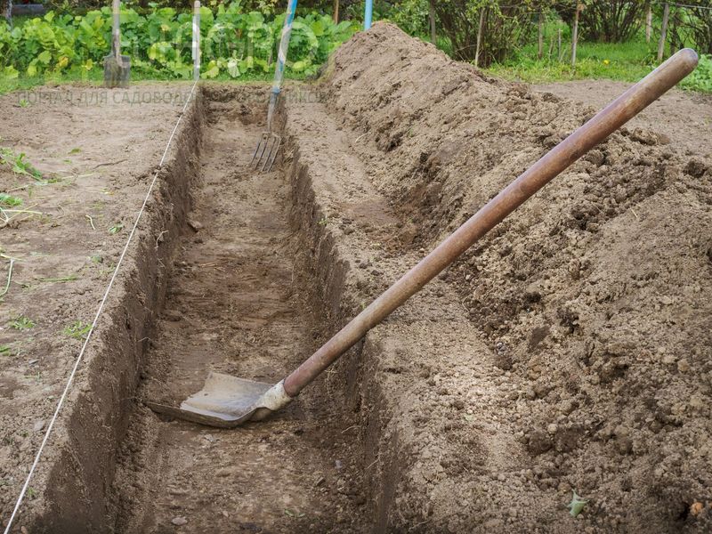 Огород: высоко или глубоко?