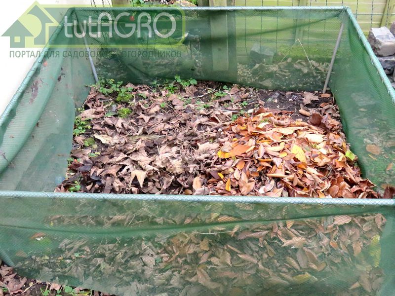 В компостных кучах или ямах можно хранить листовой опад - AGROzen