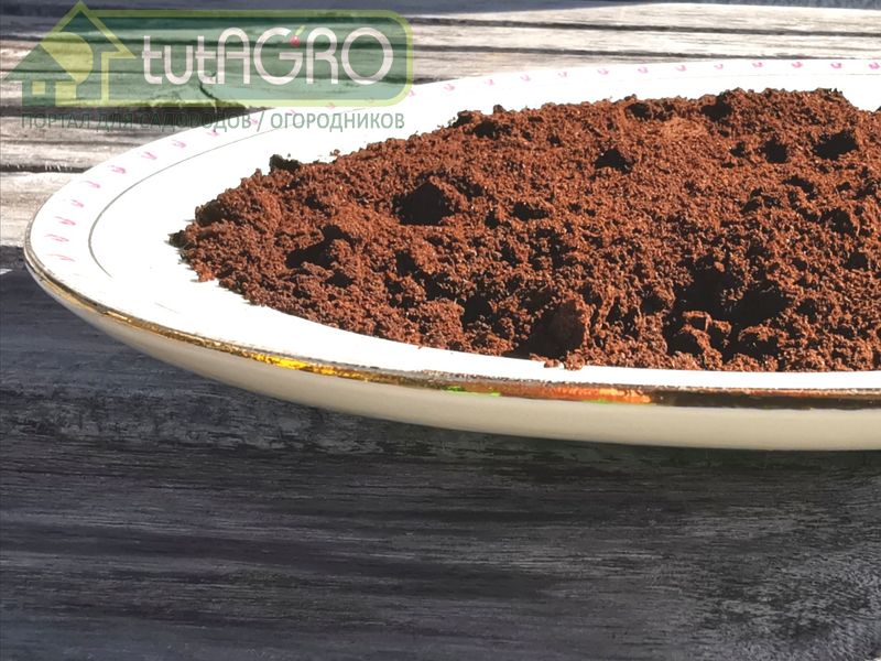 Кофейная гуща -  основа для наращивания триходермы - AGROzen
