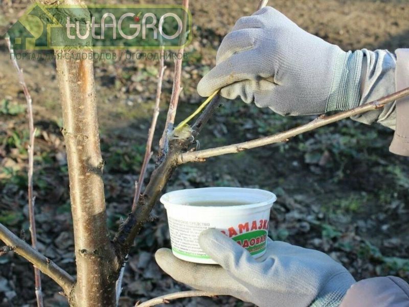 Обработка способствует скорейшему заживлению ран обработка способствует скорейшему заживлению ран - AGROzen