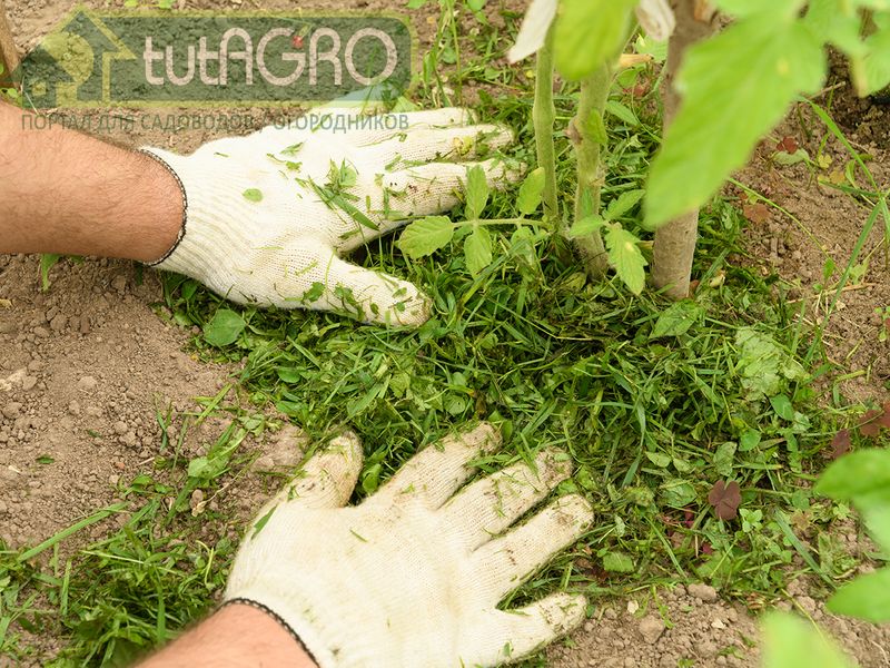 Субстрат для почвы «Друг садовода и огородника» - AGROzen