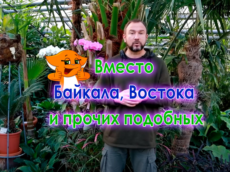 Раствор Бессараба для подкормки растений