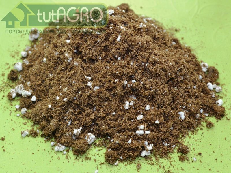 Сорта растений бывают раннего, среднего или позднего срока созревания плодов - AGROzen Сорта растений бывают раннего, среднего или позднего срока созревания плодов