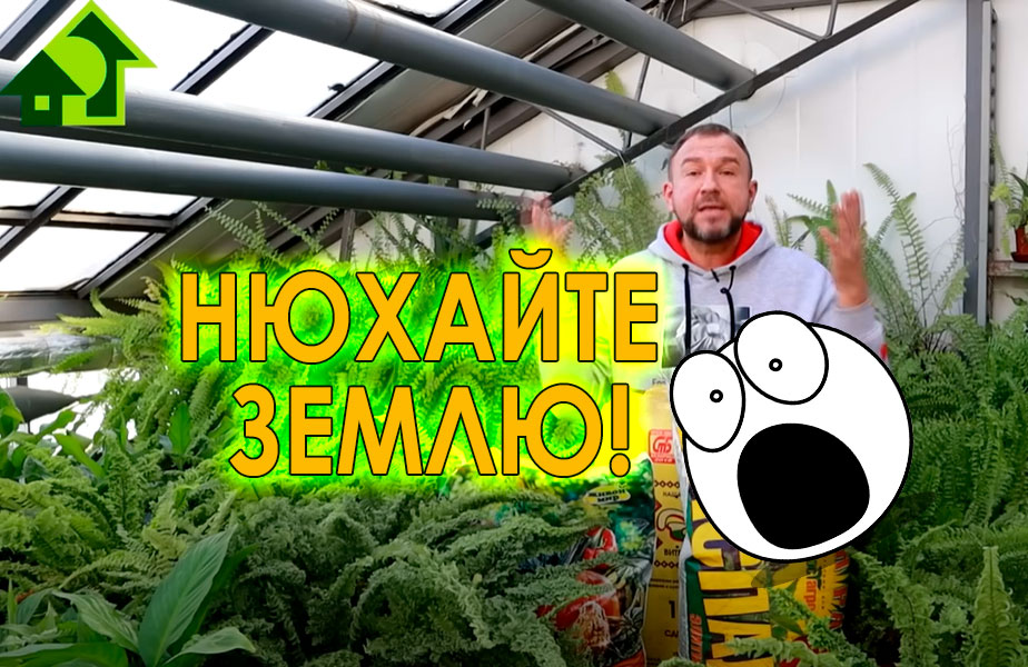 Как выбирать грунт... по запаху?