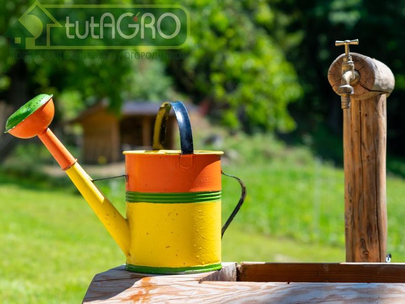 Растворите 10 таблеток нитроглицерина в 1 л воды - AGROzen