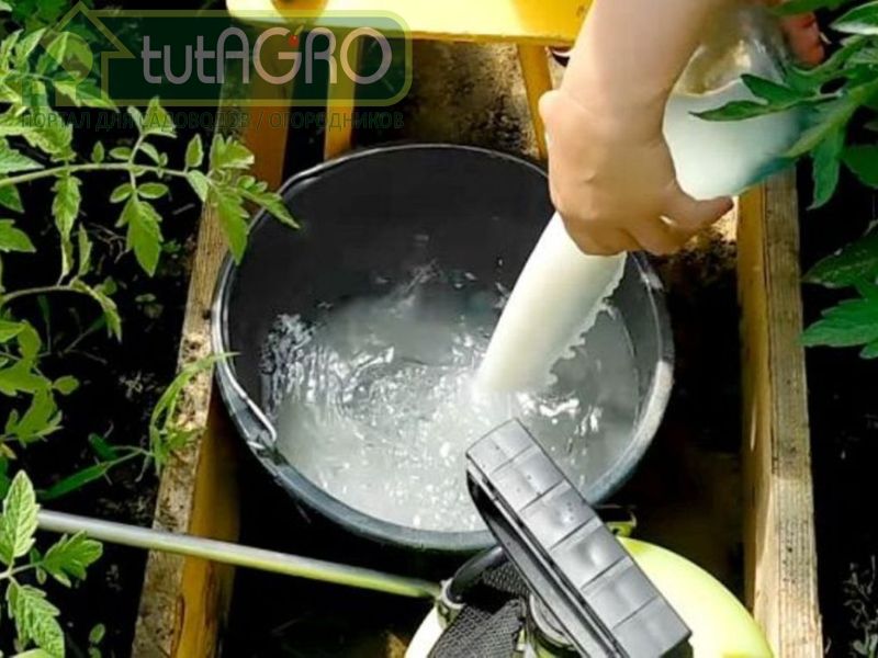 Лучше использовать свежее молоко, чтобы активизировать работу аборигенной микрофлоры - AGROzen