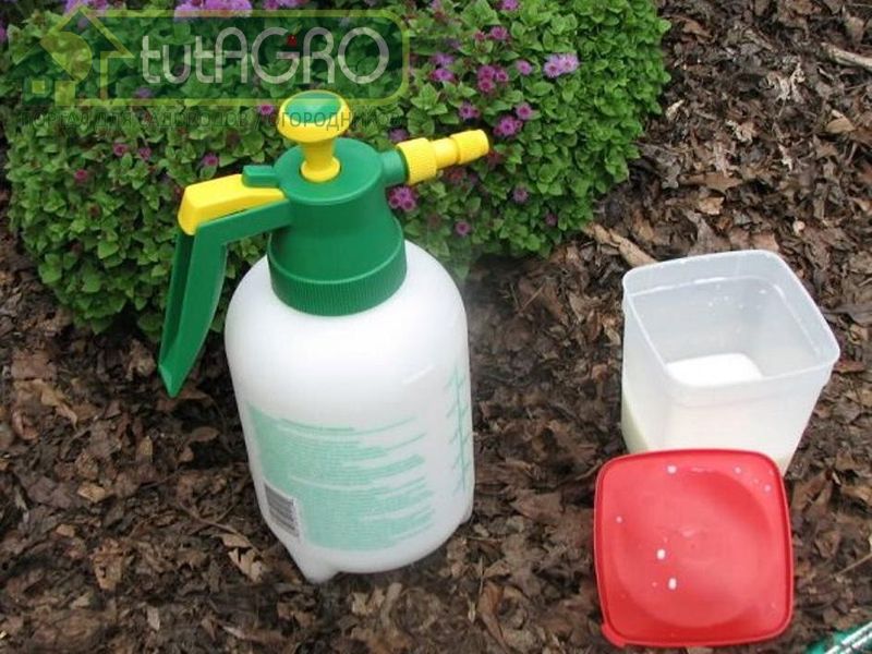 Используйте защитные силы природы - AGROzen