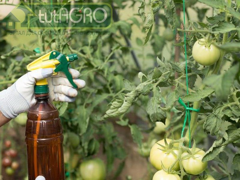 На помощь огородникам приходит биолог Иван Русских - AGROzen