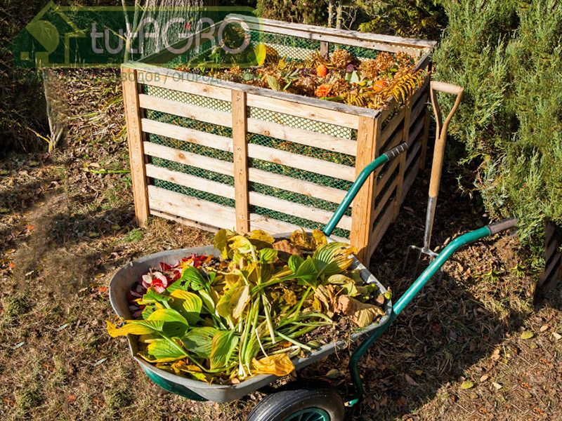 Как сделать, чтобы семена сорняков в компосте не выживали? - AGROzen