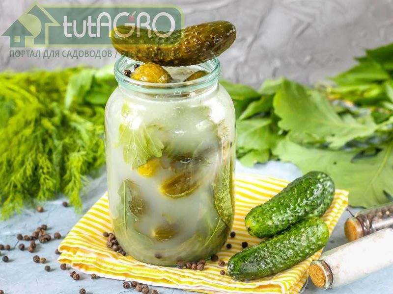 Всевозможные нестандартные огурцы удобно консервировать нарезанными. Всевозможные нестандартные огурцы удобно консервировать нарезанными - AGROzen