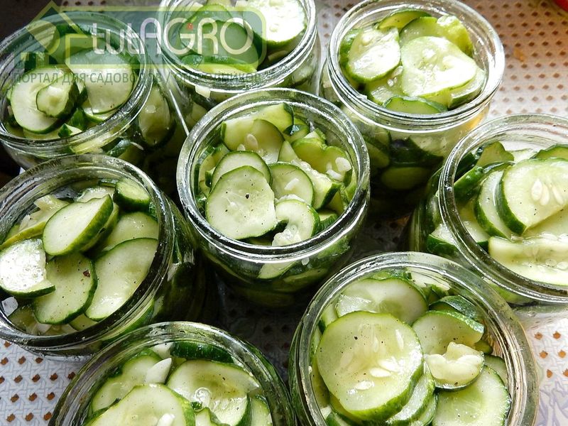 Огуречный сок содержит множество различных полезных микро и макроэлементов Огуречный сок содержит множество различных полезных микро и макроэлементов - AGROzen