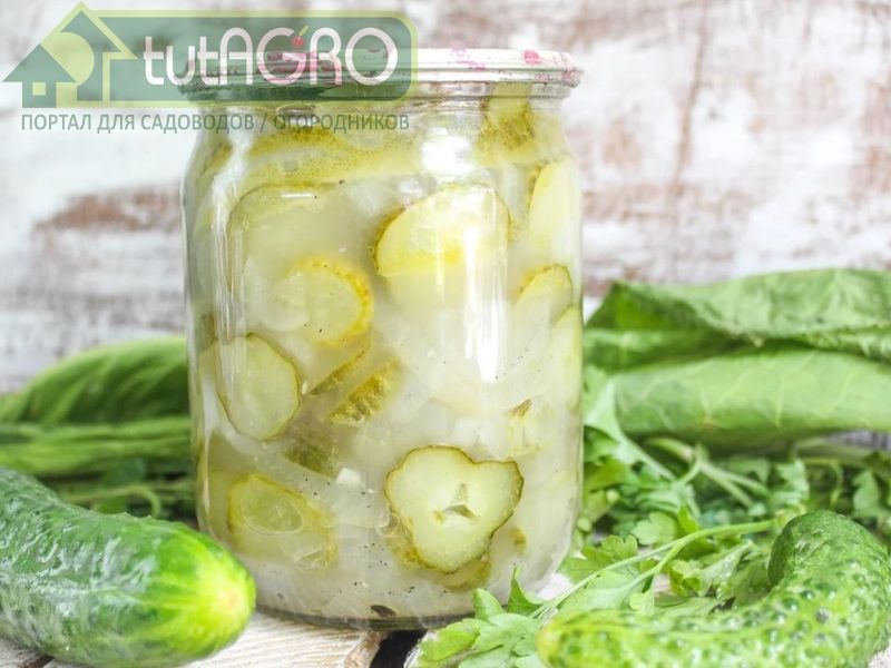 Огурец - один из немногих овощей, сохраняющий в полном объеме свои полезные свойства даже после тепловой обработки Огурец - один из немногих овощей, сохраняющий в полном объеме свои полезные свойства даже после тепловой обработки - AGROzen