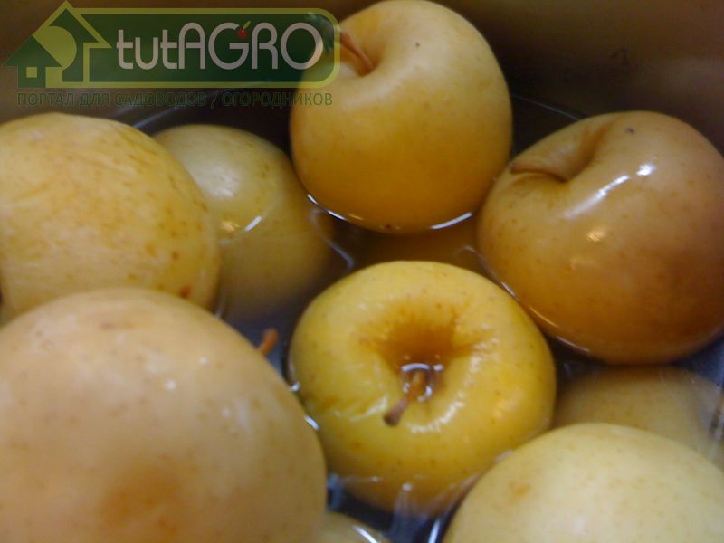 Основной принцип мочения заключается в приготовлении заливки и погружения в нее яблок Основной принцип мочения заключается в приготовлении заливки и погружения в нее яблок - AGROzen