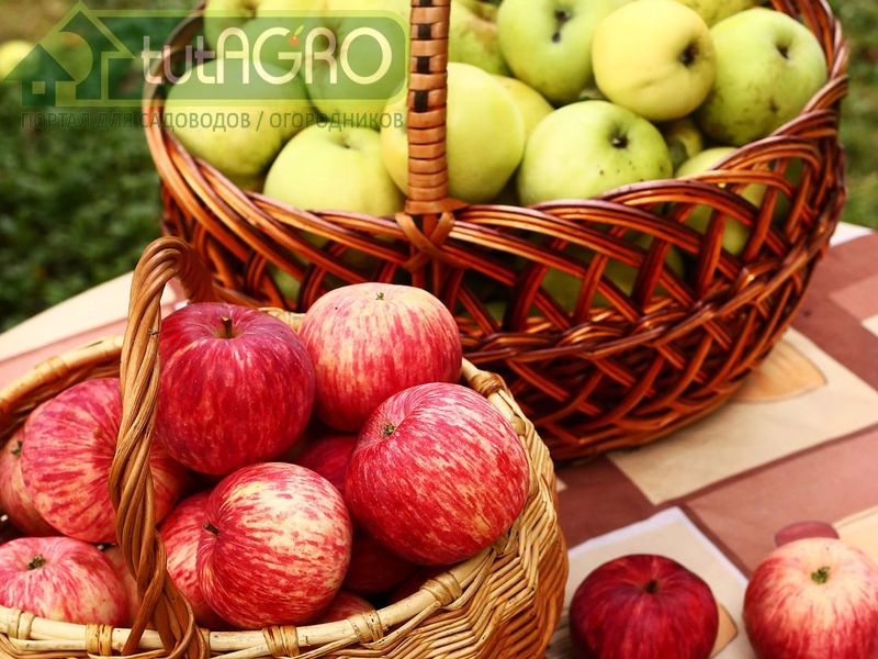 Это исключительно вкусно. Попробуйте! Это исключительно вкусно. Попробуйте! - AGROzen