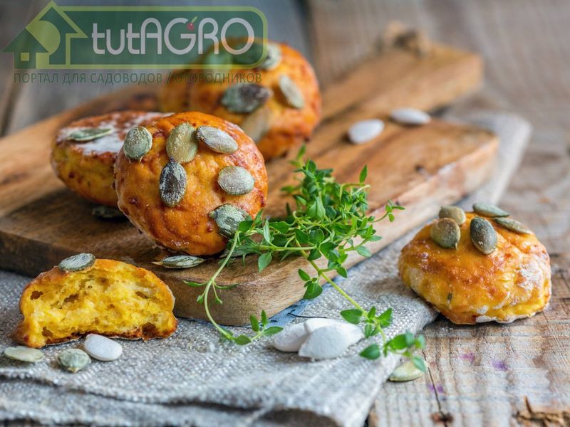 Булочки картофельные с тыквенными семечками Булочки картофельные с тыквенными семечками - AGROzen