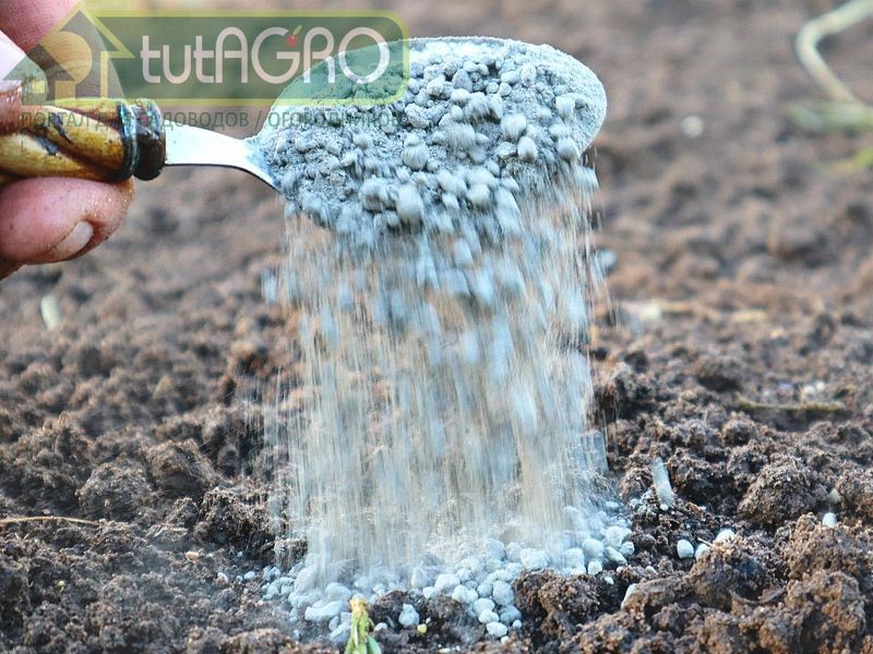 Минеральные удобрения Минеральные удобрения - AGROzen