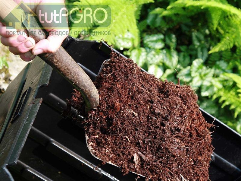 Компост и торф Компост и торф - AGROzen