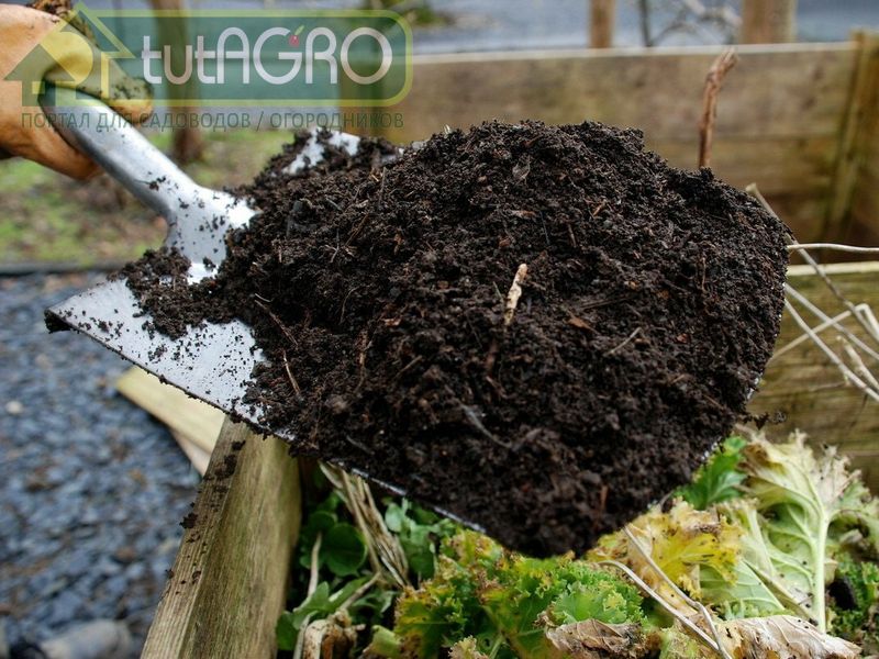 К февралю у вас получится замечательный компост! - AGROzen