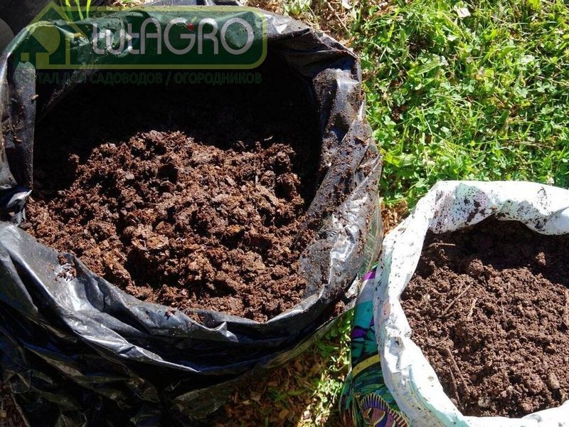 Не зря говорится, умный растит урожай, а мудрый - почву - AGROzen