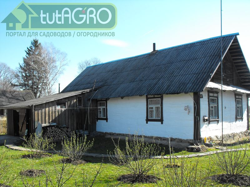 В апреле проведите первую обрезку вечнозеленых лиственных и хвойных кустарников В апреле проведите первую обрезку вечнозеленых лиственных и хвойных кустарников - AGROzen