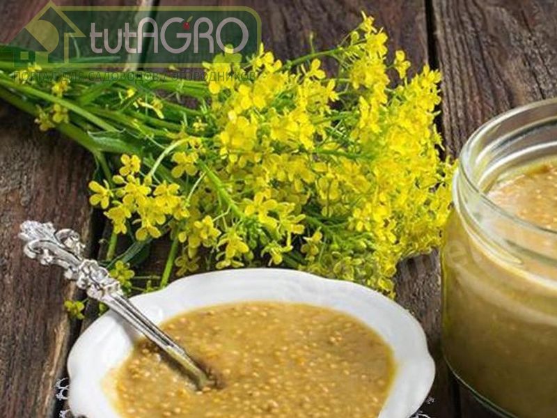Можно использовать горчичный порошок или баночку готовой горчицы - AGROzen