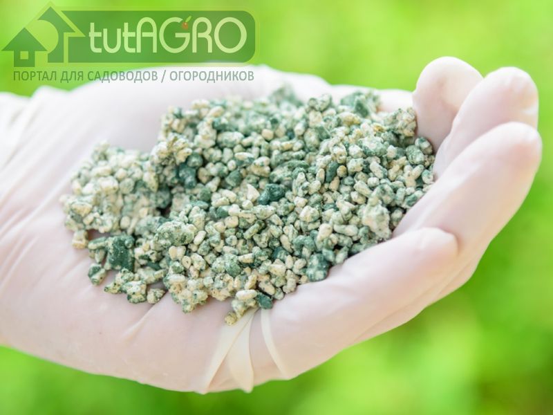 Схема применения биопрепаратов при выращивании огурцов - AGROzen