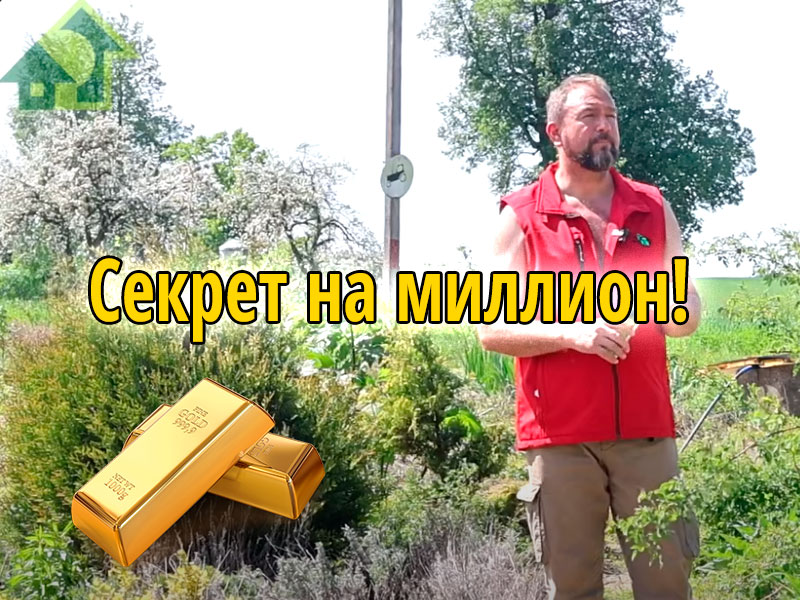 Самое эффективное удобрение своими руками