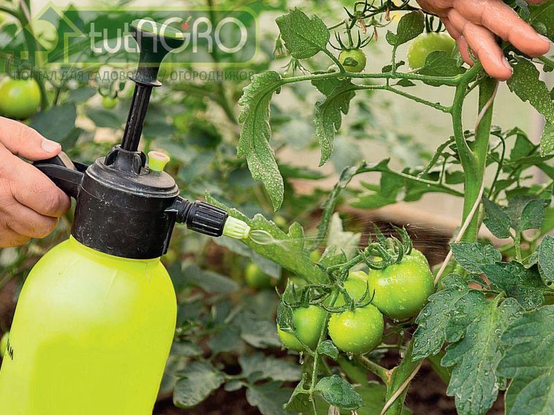 Рецепт подкормки - AGROzen