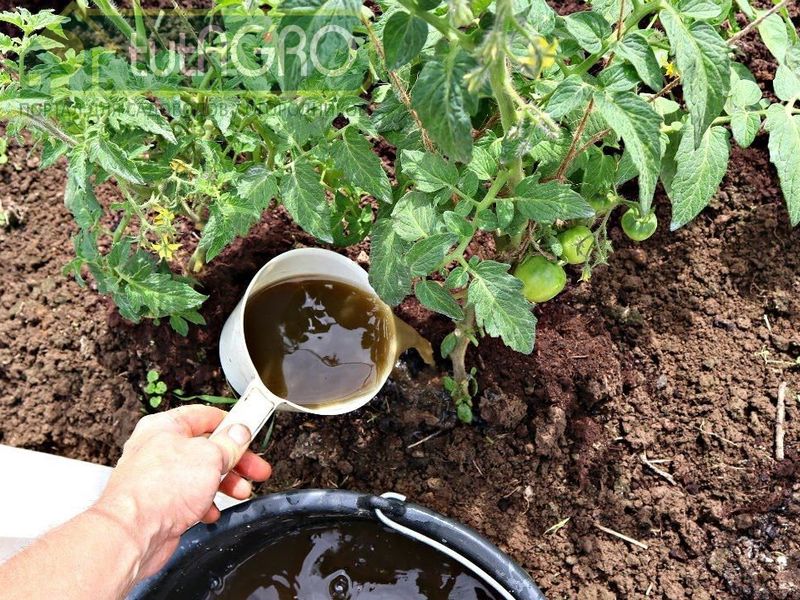 Подкормка получится с длительным действием - AGROzen