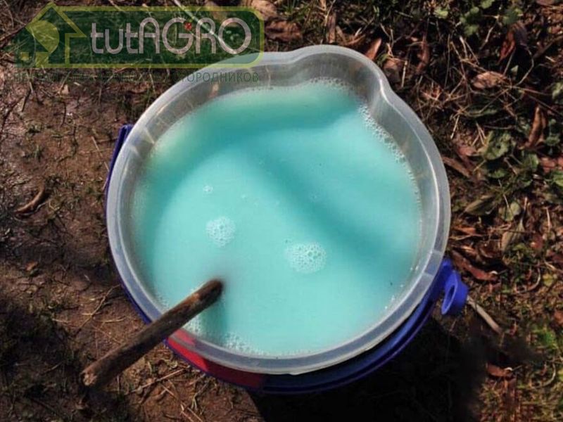Лимонная кислота необходима, чтобы перевести железо в хелатную форму - AGROzen