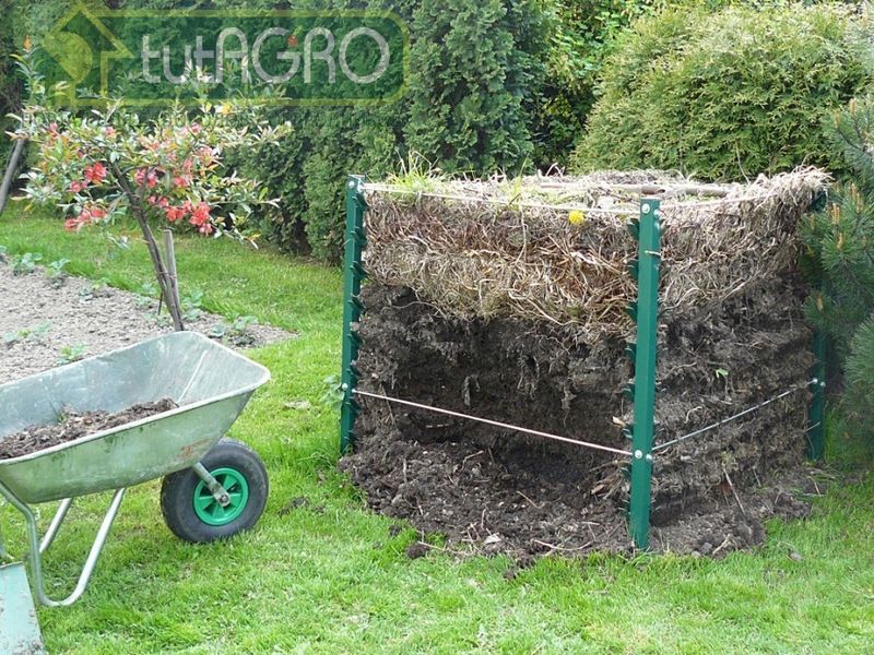 Использовать грибной компост надо с осторожностью - AGROzen