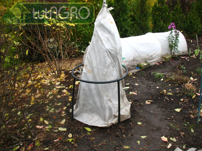 Эти способы хороши для защиты штамба, но не молодых веточек - AGROzen