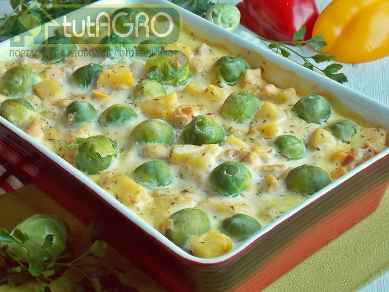С брюссельской капустой С брюссельской капустой - AGROzen