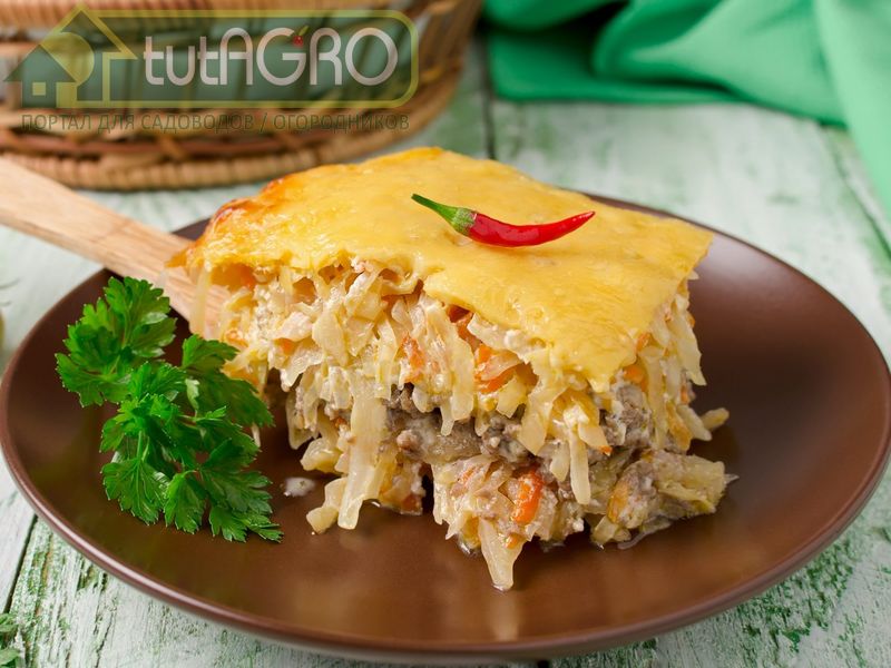 С квашеной капустой С квашеной капустой - AGROzen